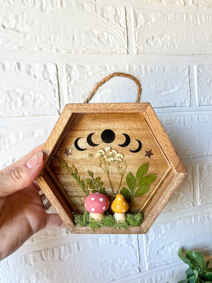 Serenity shadow box